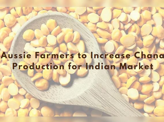 Aussie Farmers to Increase Chana Production for Indian Market