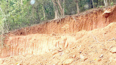 Goa govt is considering increasing the fine for illegal hill cutting to up to Rs 1 crore
