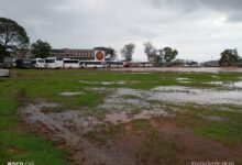 DB Ground Fully Cleared Following Goa Cashew Fest 2025