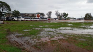 DB Ground Fully Cleared Following Goa Cashew Fest 2025