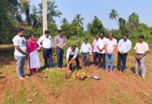 Vedanta Sesa Goa Strengthens Local Farming Across 20+ Hectares in Maem