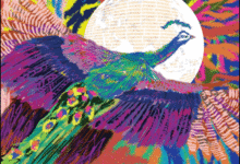 IFFI: A Journey Written in Frames