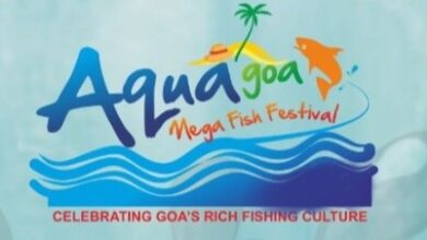 Aqua Mega Fish Festival from Jan 9-11, 2026