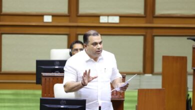 Government provides grant; Carnaval committees decide float prize allocation: Tourism Minister