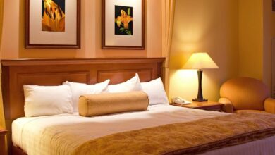 Goa Records Near-Full Hotel Occupancy as New Year Begins on a Strong Tourism Note