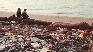 Goa’s Growing Waste Burden and Its Impact on Public Spaces