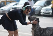 Pure Bond, Pure Bliss: Tanishaa Mukerji and Kara’s Heartwarming Chemistry 