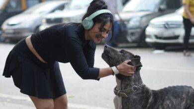 Pure Bond, Pure Bliss: Tanishaa Mukerji and Kara’s Heartwarming Chemistry 