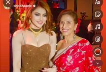 Urvashi Rautela’s ‘Dabidi Dibidi’ Moment Wins Praise from Shobhaa De