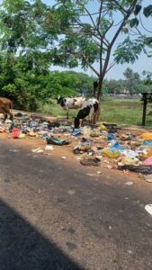 From Jungle Trails to Waterfalls, Litter Is Spreading Across Goa’s Wild Spaces