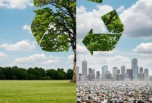 Goa Needs a Quiet March Towards Zero Waste