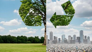 Goa Needs a Quiet March Towards Zero Waste