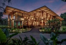 Layan Life by Anantara Launches a New Generation of Longevity Retreats for Women
