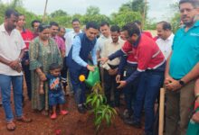 VISL Plantation Drive Welcomes Dr. Pramod Sawant, Hon’ble CM, Goa